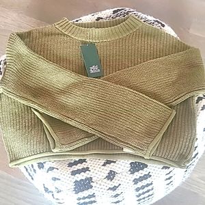 Wild fable crop top sweater.